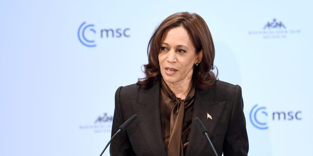 February 19, 2022, Bavaria, Munich: Kamala de Harris, US Vice President, speaks at the 58th Security Conference in Munich.  The security conference will take place at the Bayerischer Hof Hotel from February 18-20, 2022. Photo: Tobias Hase/dpa (Photo by Tobias Hase/picture alliance via Getty Images)