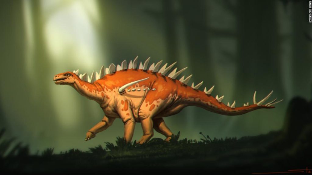 Stegosaurus fossils discovered have 'strange mix of features'