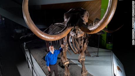 University of Michigan paleontologist Daniel Fisher poses with a composite skeleton of a Buesching mastodon.