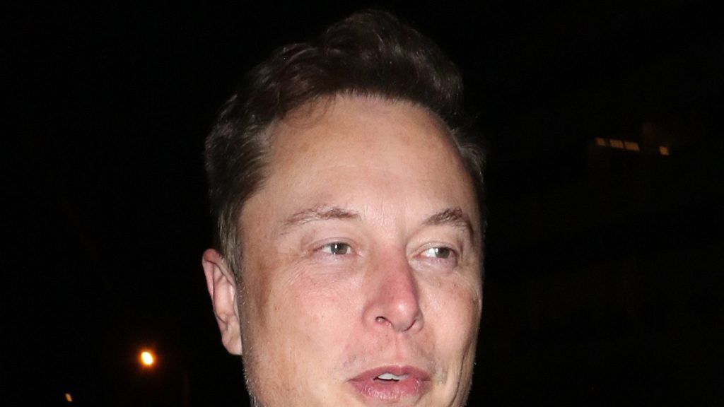 Elon Musk's transgender daughter files to change her name and bring Musk down