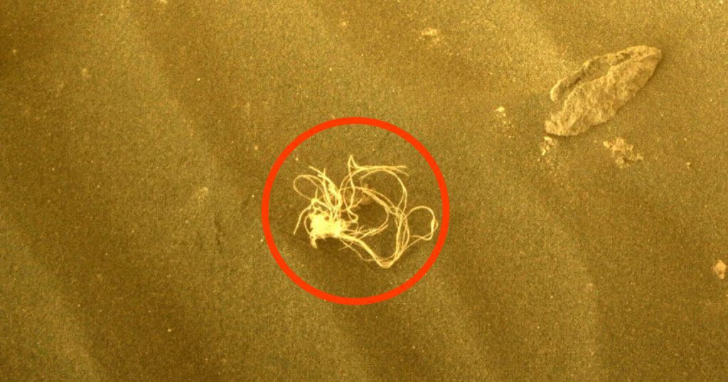 NASA fascinated by a pasta-like object found on Mars