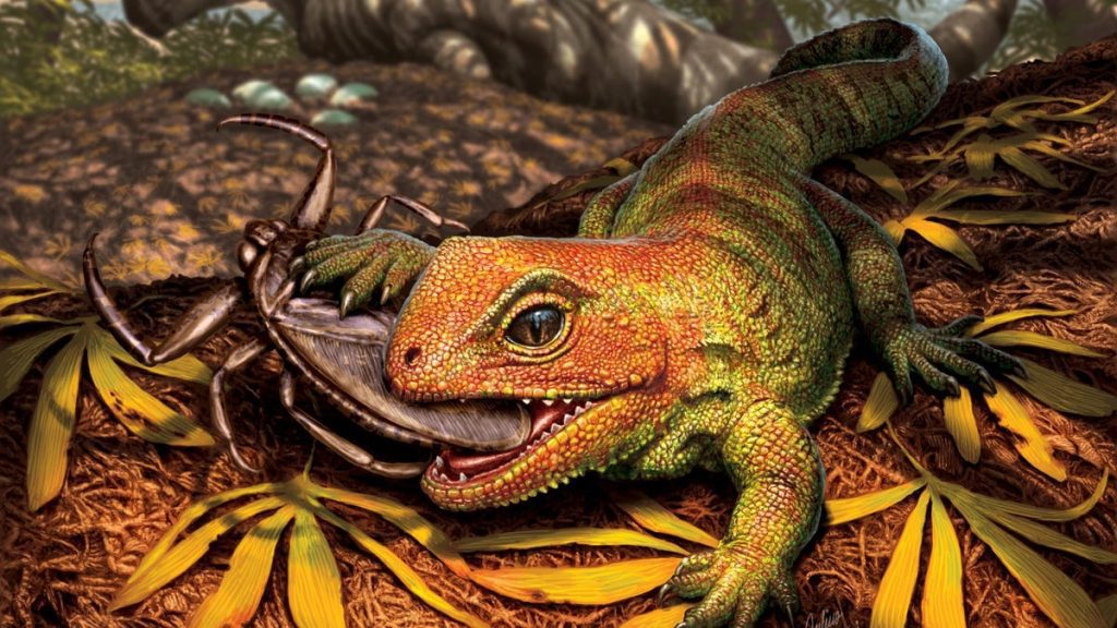 This ancient reptile is not a lizard.  Don't call it a lizard