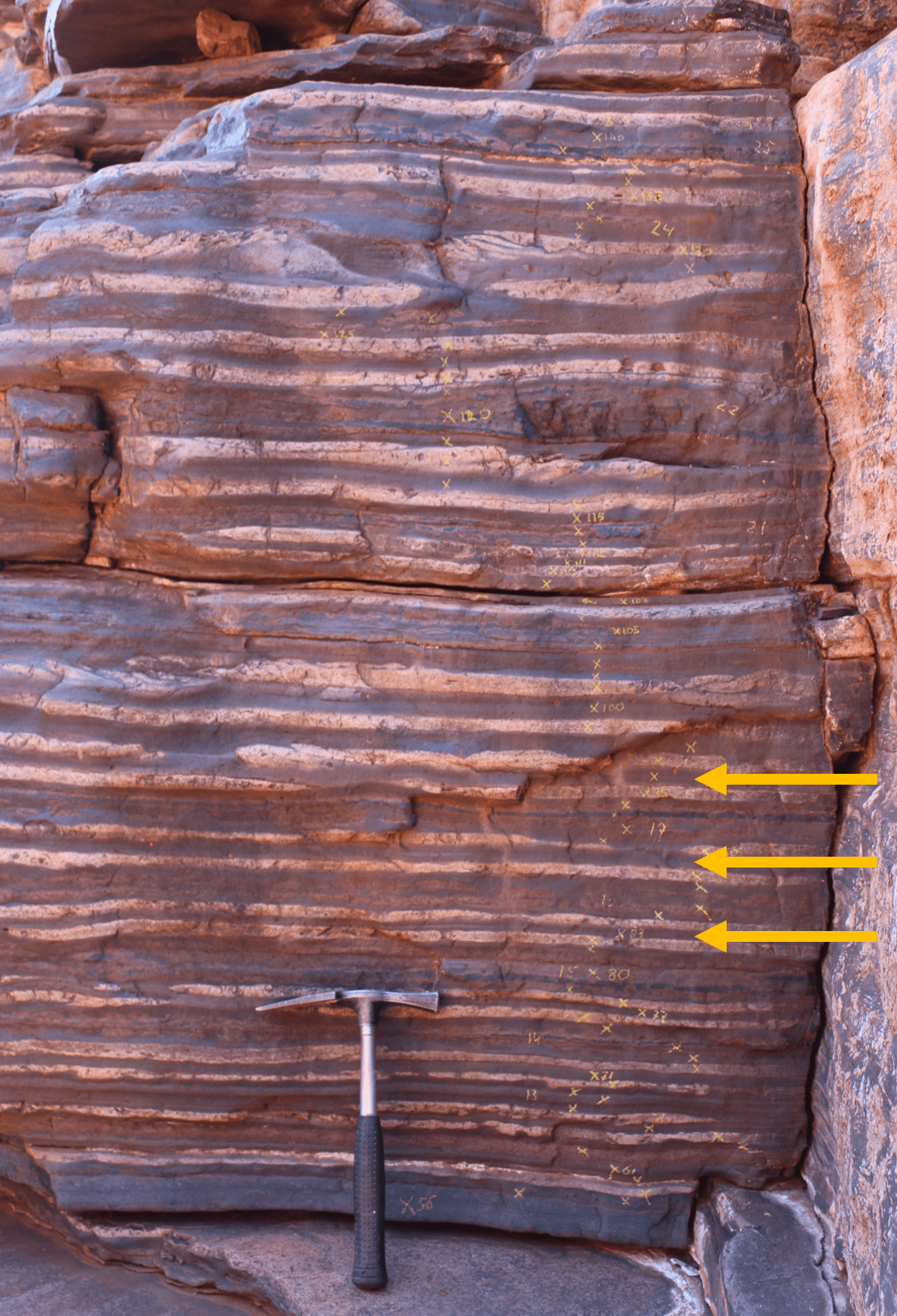 Rhythmically alternating layers of white, reddish and/or bluish-gray rocks with an average thickness of about 10 cm (see arrows).  The changes, interpreted as a signal of the Earth's motion cycle, help us estimate the distance between the Earth and the Moon 2.46 billion years ago.
