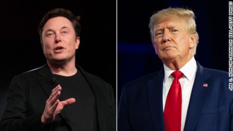 Musk says banned and controversial Twitter accounts like Jordan Peterson and Bubble B will be reinstated