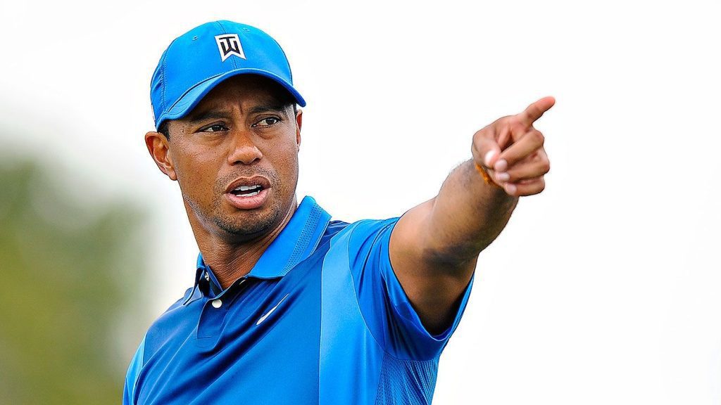 Tiger Woods teams up with Rory McIlroy in the game on December 10