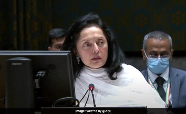 Ruchira Kamboj: 'We Don't Need To Tell Us What To Do About Democracy': India at the United Nations
